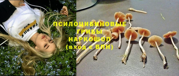 mdpv Верхний Тагил